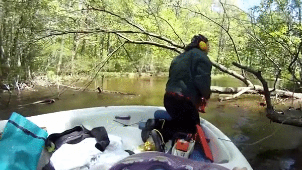 gif (1)