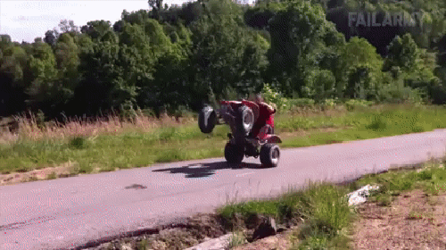 gif (2)