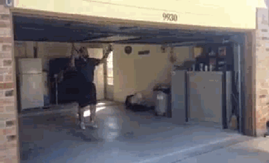 gif (15)