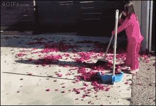 gif (29)