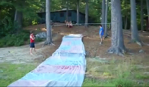 gif (12)