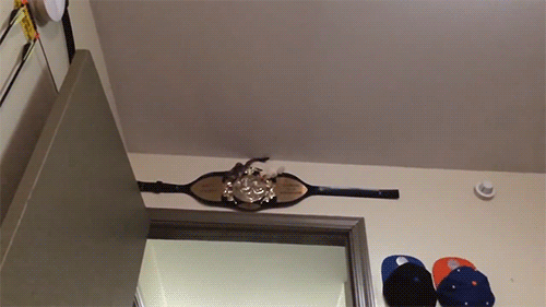 gif (5)