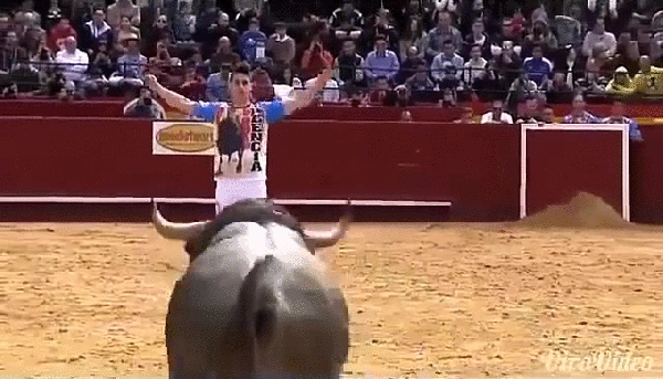 gif (8)