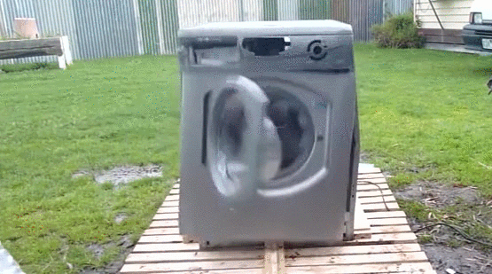 gif (1)