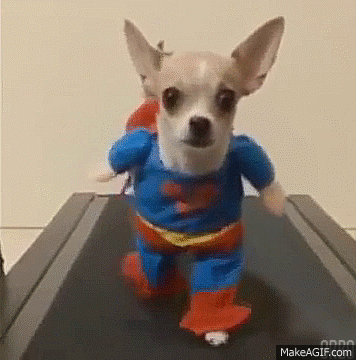 gif (8)