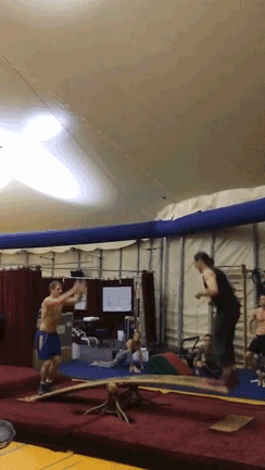 gif (14)
