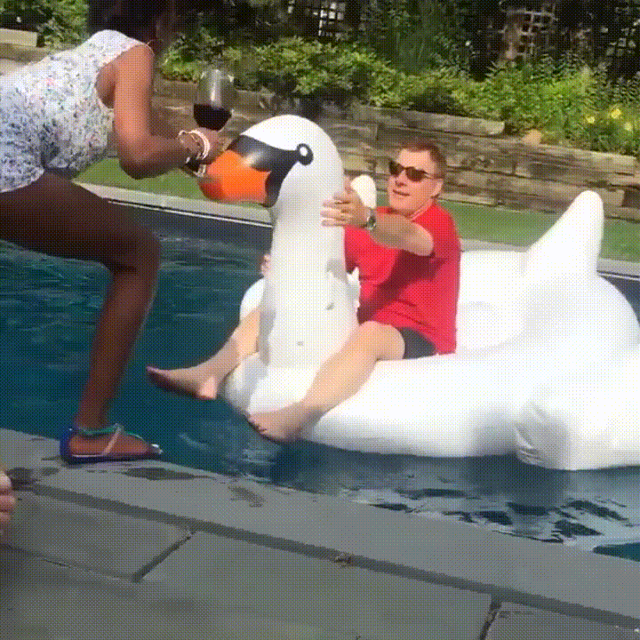 gif (28)