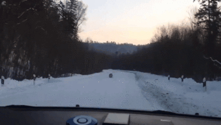 gif (4)