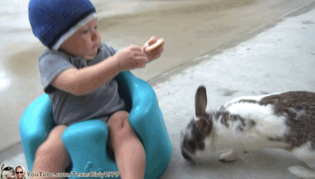 gif (10)