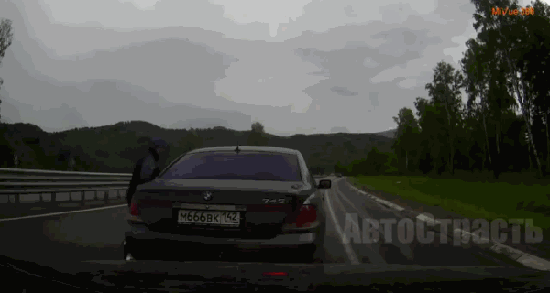 gif (4)