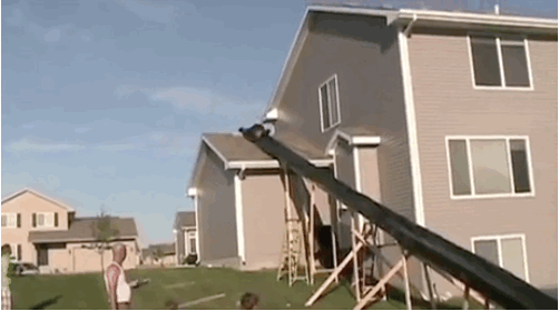 gif (12)