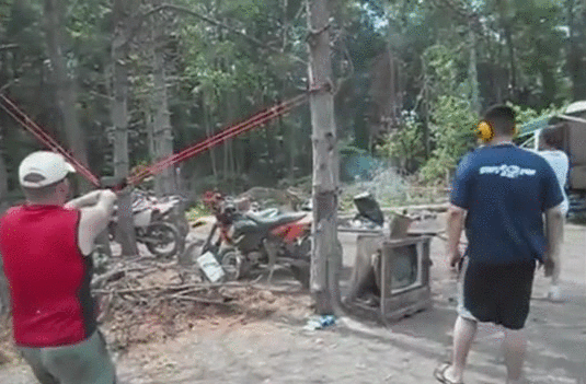 gif (21)
