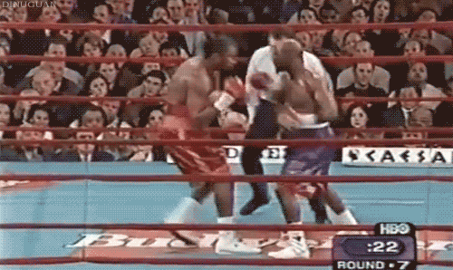 gif (20)