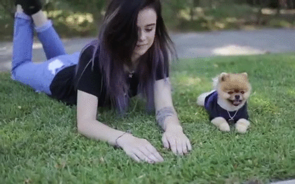 gif (24)
