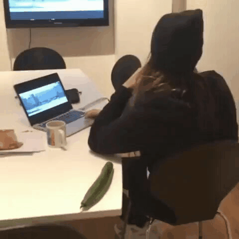 gif (10)