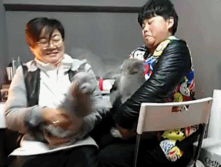 gif (11)
