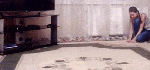 gif (19)