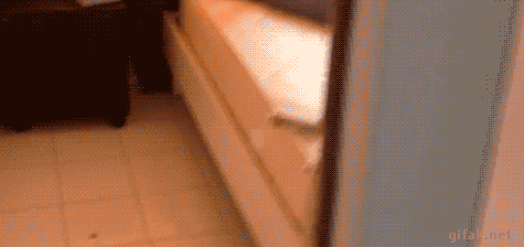 gif (7)