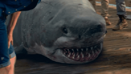 gif (10)