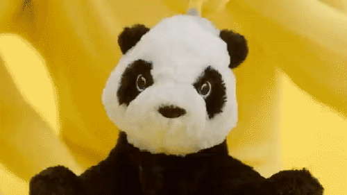 gif (4)