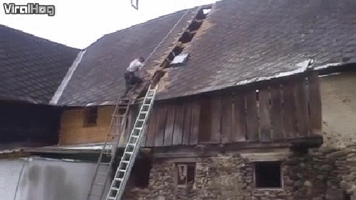 gif (7)