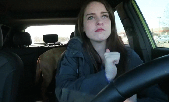 gif (20)