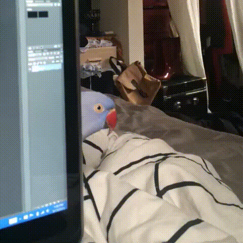 gif (1)