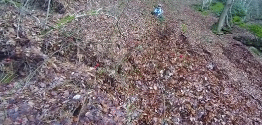 gif (19)