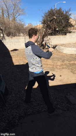gif (10)