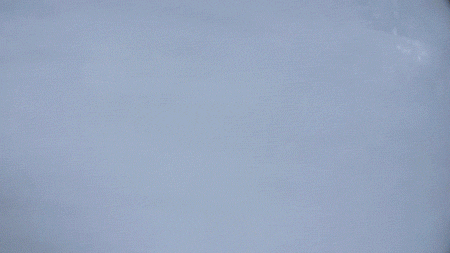 gif (7)