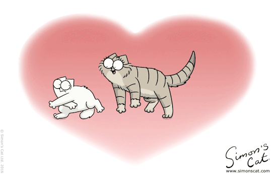 gif (1)