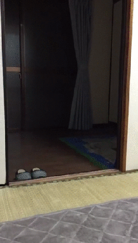 gif (15)