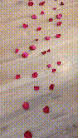 gif (23)