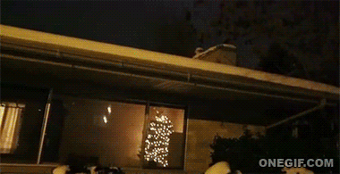 gif (28)