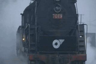 gif (3)