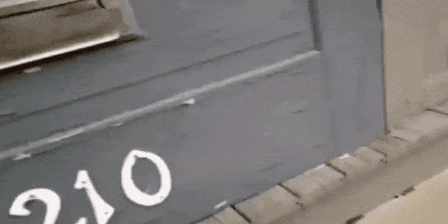 gif (4)