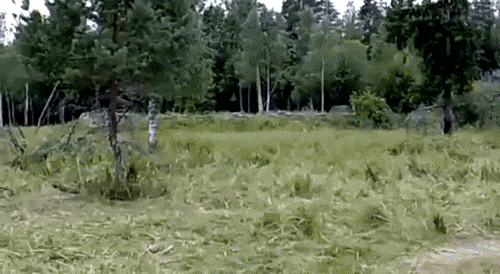 gif (8)