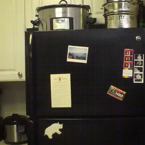 gif (1)