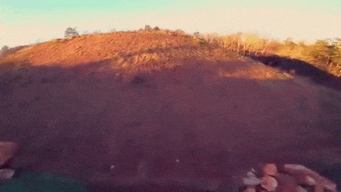 gif (23)