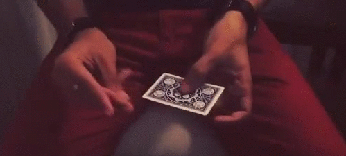 gif (11)