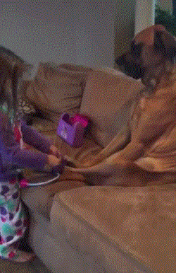 gif (7)