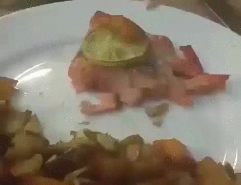 gif (9)