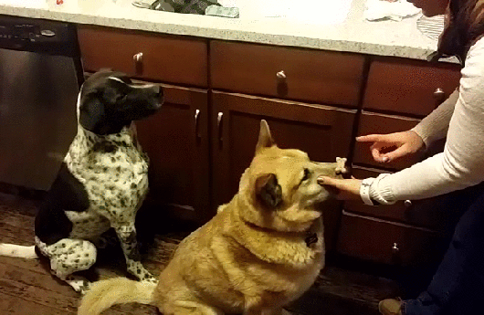 gif (15)