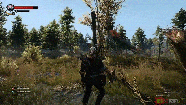 gif (25)