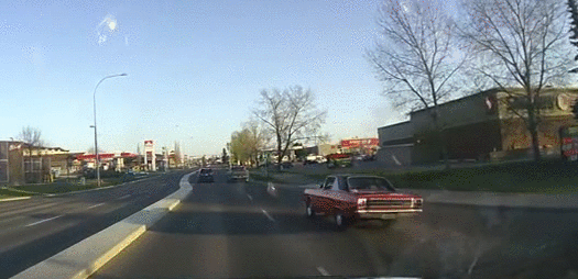 gif (23)