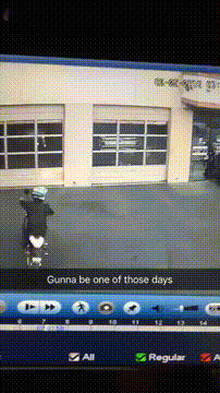gif (6)