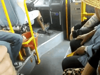 gif (7)