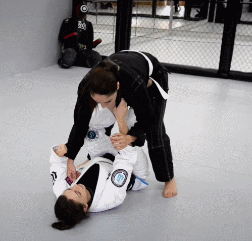 gif (15)