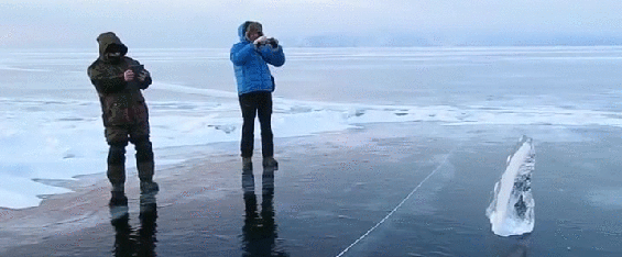 gif (9)