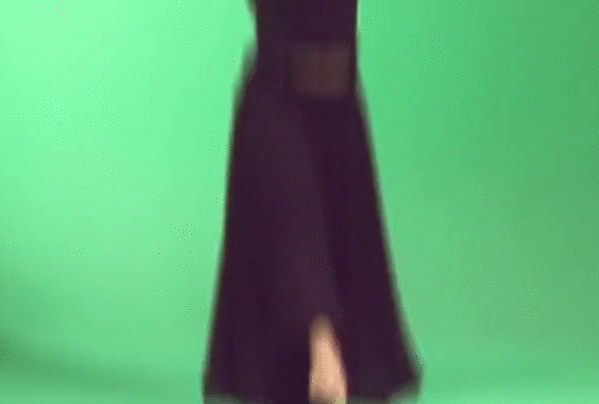 gif (20)